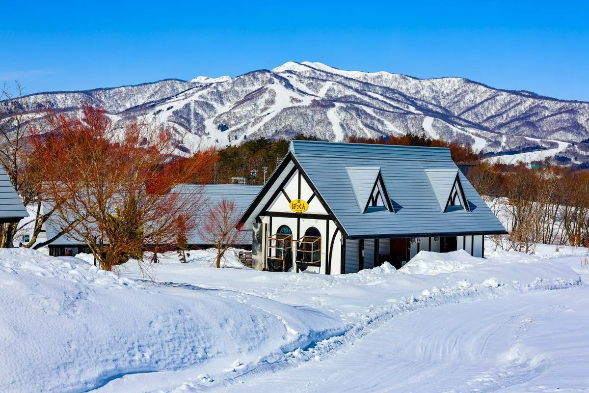 Snow covered mountain slopes behind buildings in a village